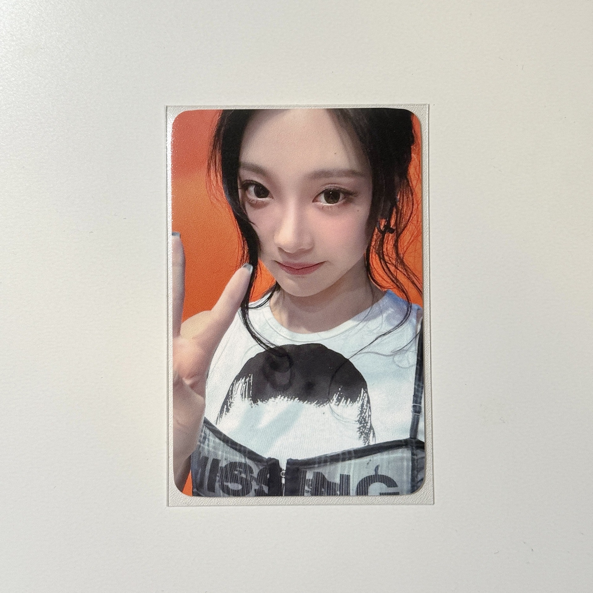 🩵Whiplash dmm簽售寧