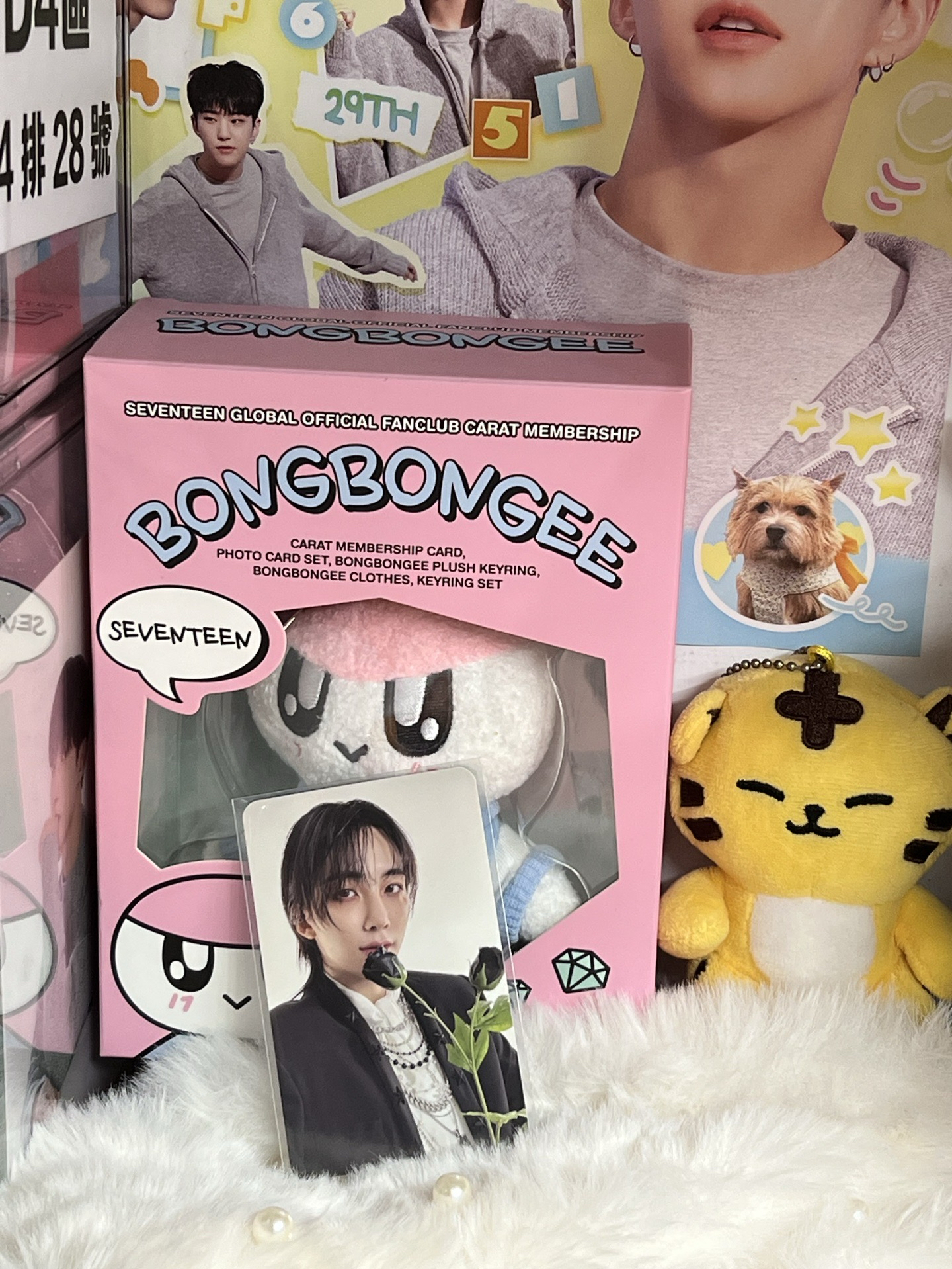 SEVENTEEN JEONGHAN🐰小卡