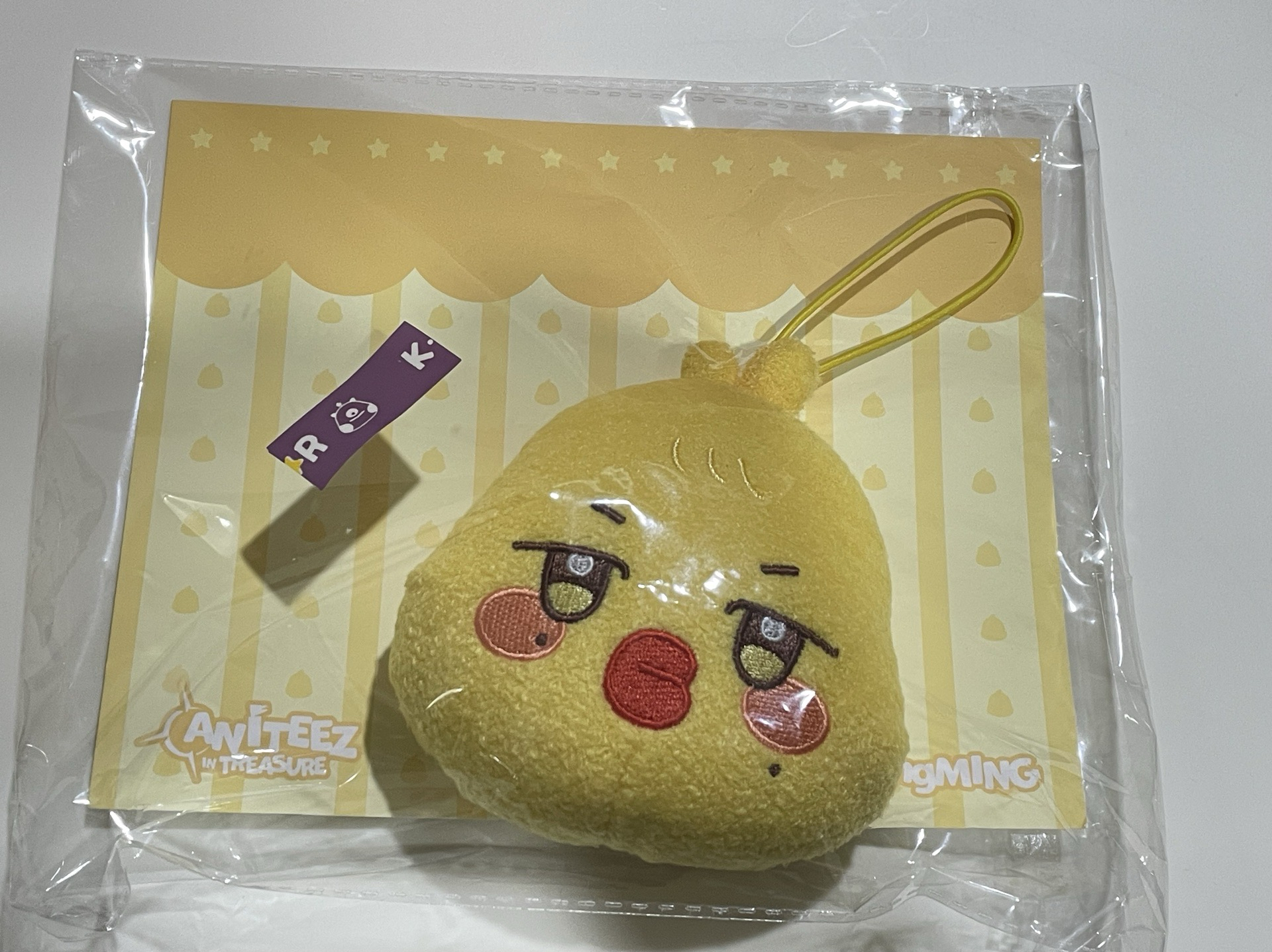 ANITEEZ IN TREASURE 行李吊牌 (蹦旼）