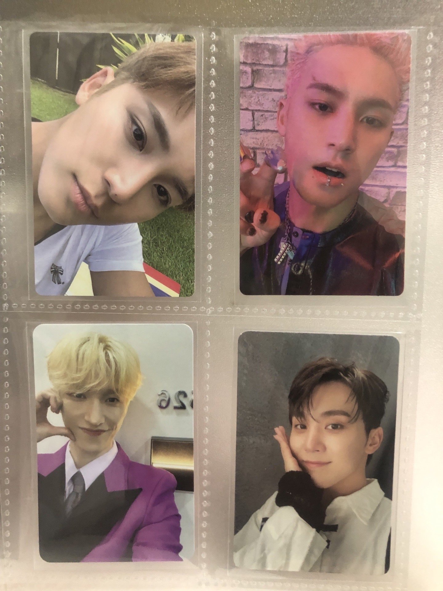 無哲圓 全員小盤