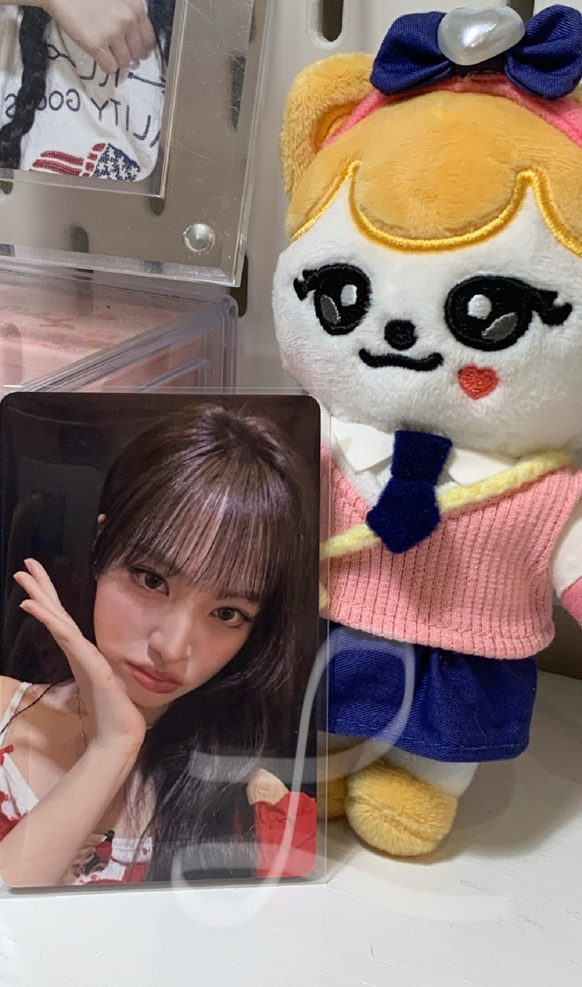 漂亮栗子托臉🥹  1013日本入場卡栗