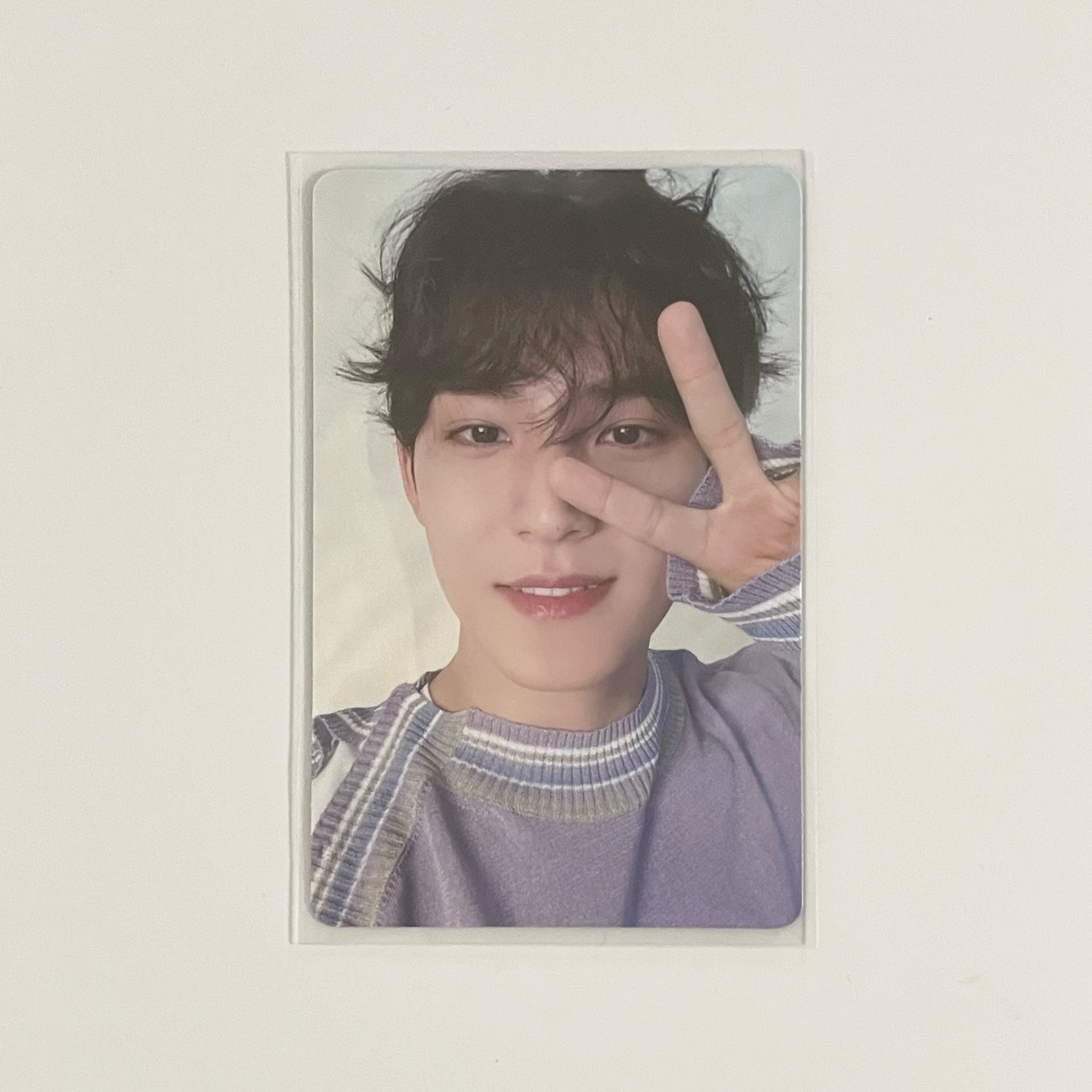 🐶奎奎 ALWAYS YOURS CARAT ver.