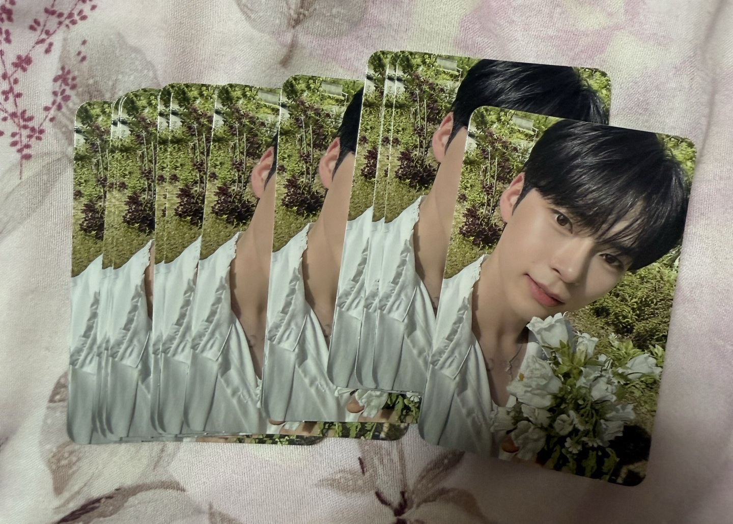 ZB1 迷一 專卡 成韓彬