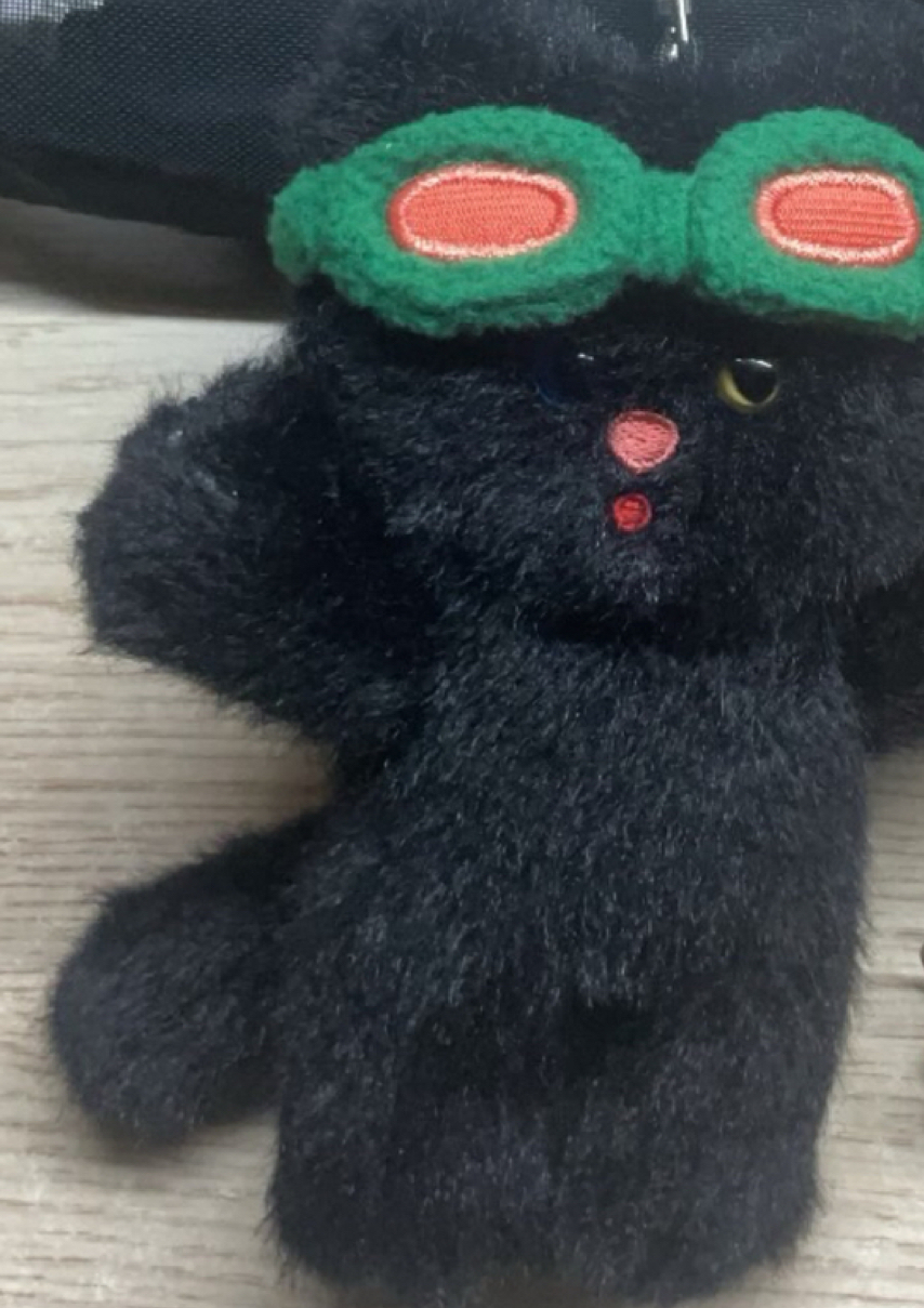 漢泰豐娃娃🐈‍⬛不單出