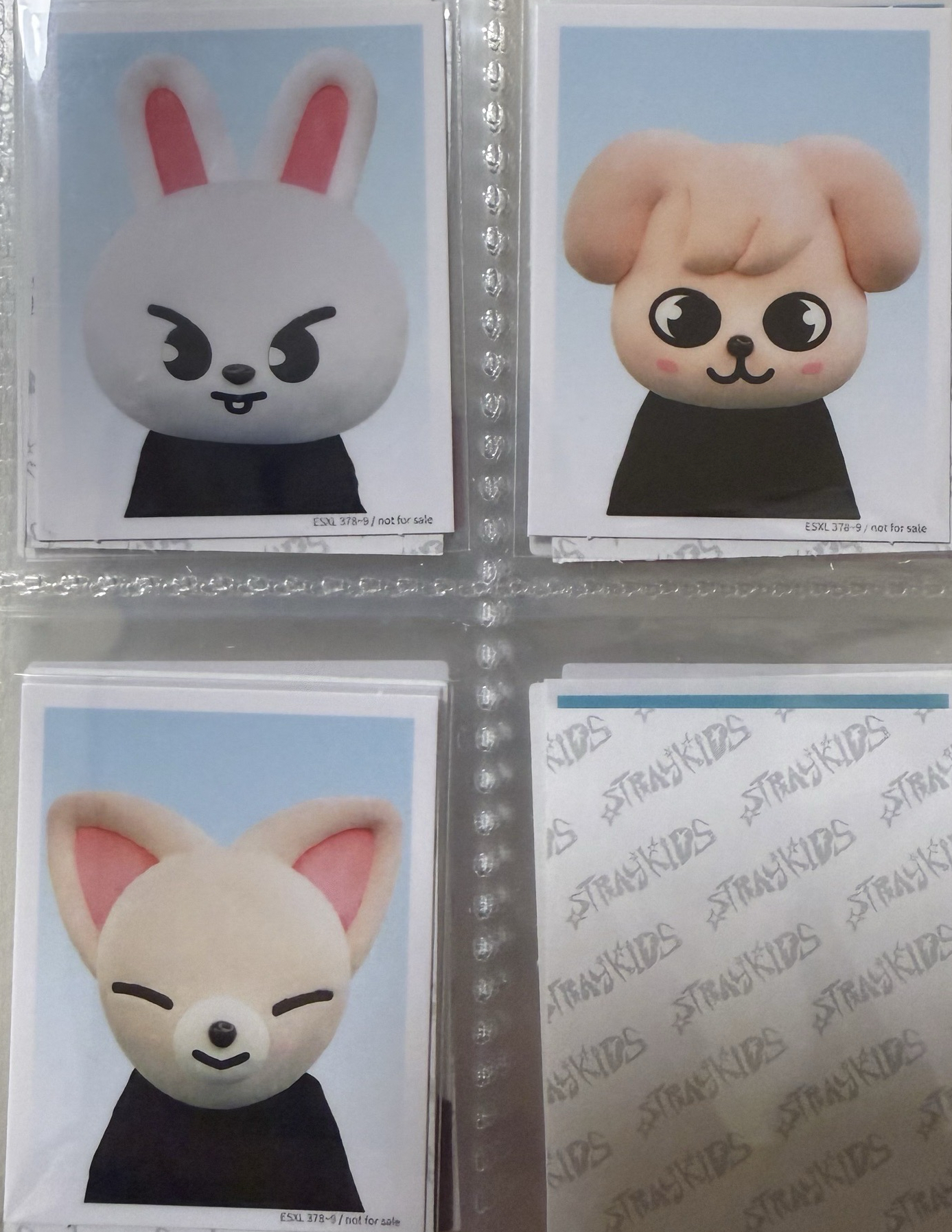 Toy World證件照 🐰🦊