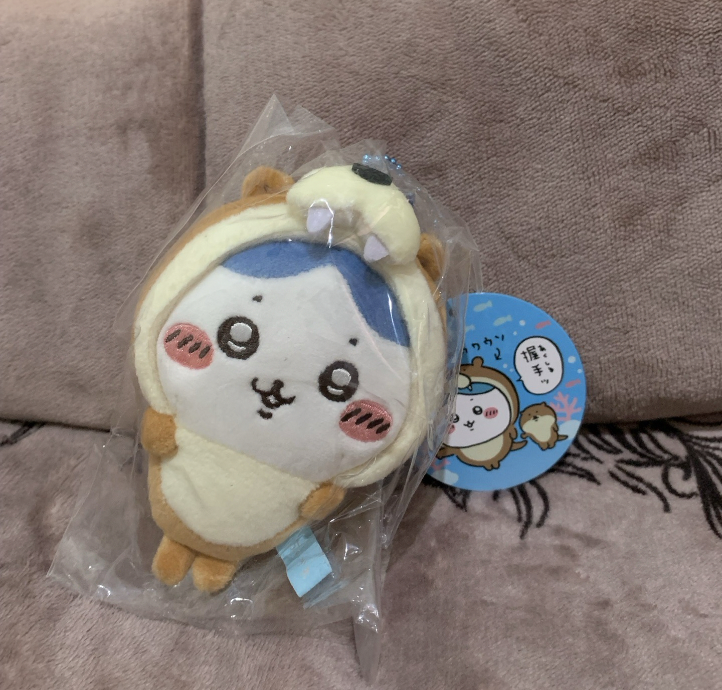 現貨 日本購入《水族館系列》小水獺 小八 吉伊卡哇 吊飾