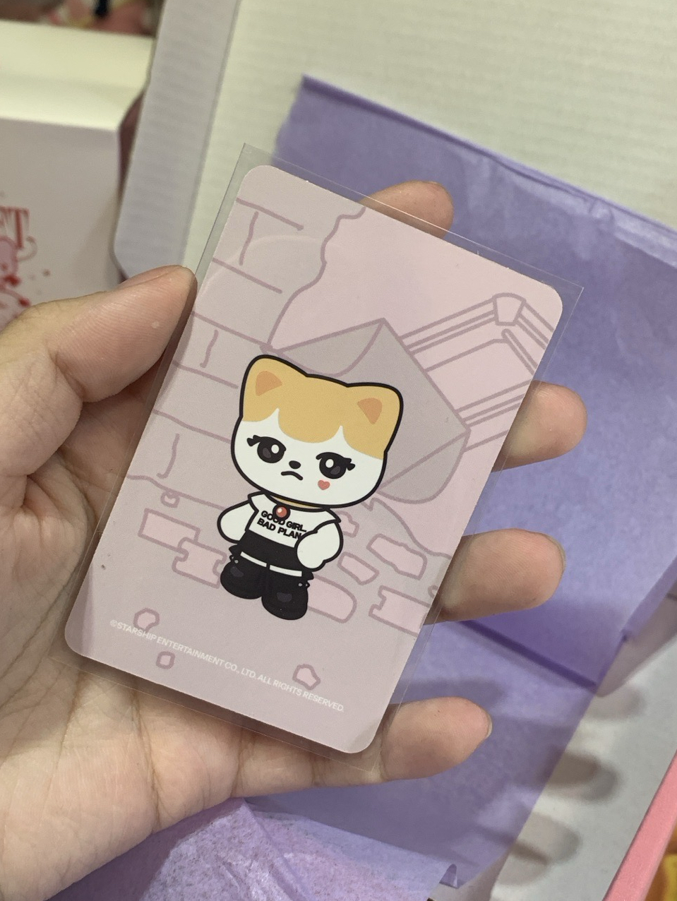 sw栗 團粽造型🎀 卡背是minive