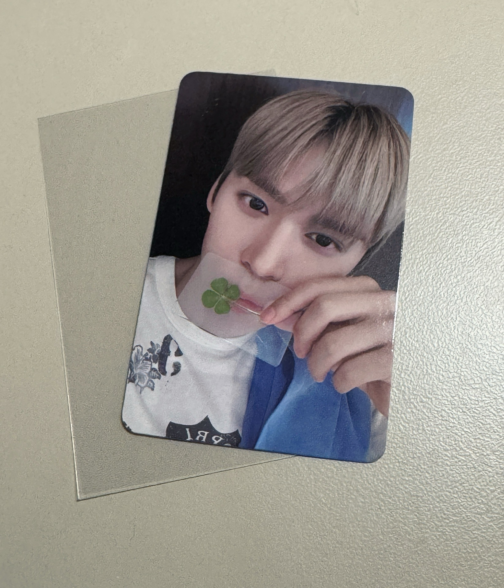 幸運奭 四葉🪨