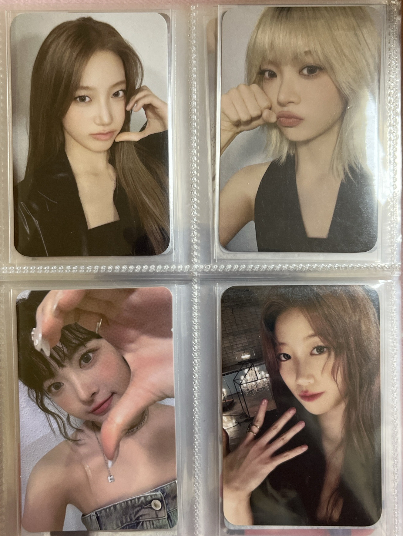 hot 中文卡背 台北粽 數星星 台北簽售