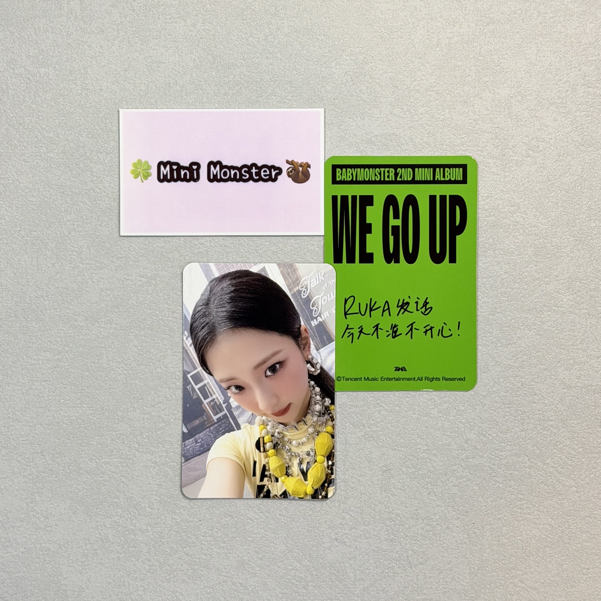 🍀Mini Monster🦥 三星露