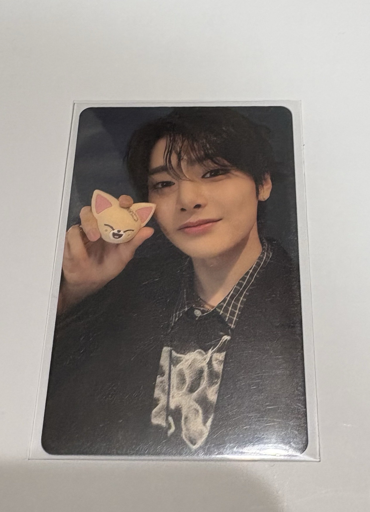 stray kids I.N寅小卡區