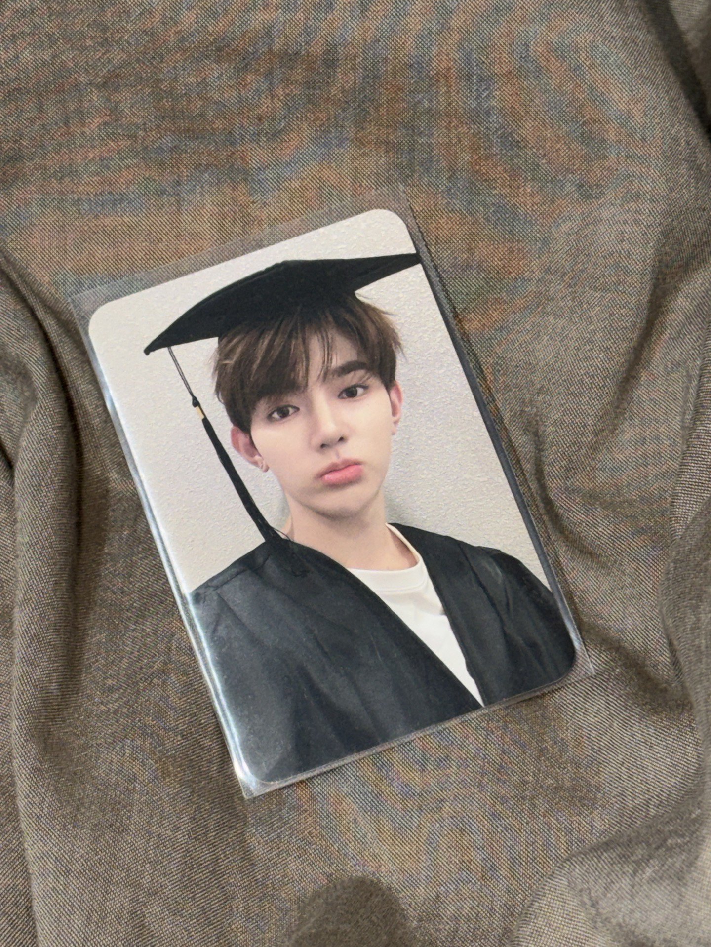 章昊 數星星 中文卡背 現貨 zb1 畢業卡