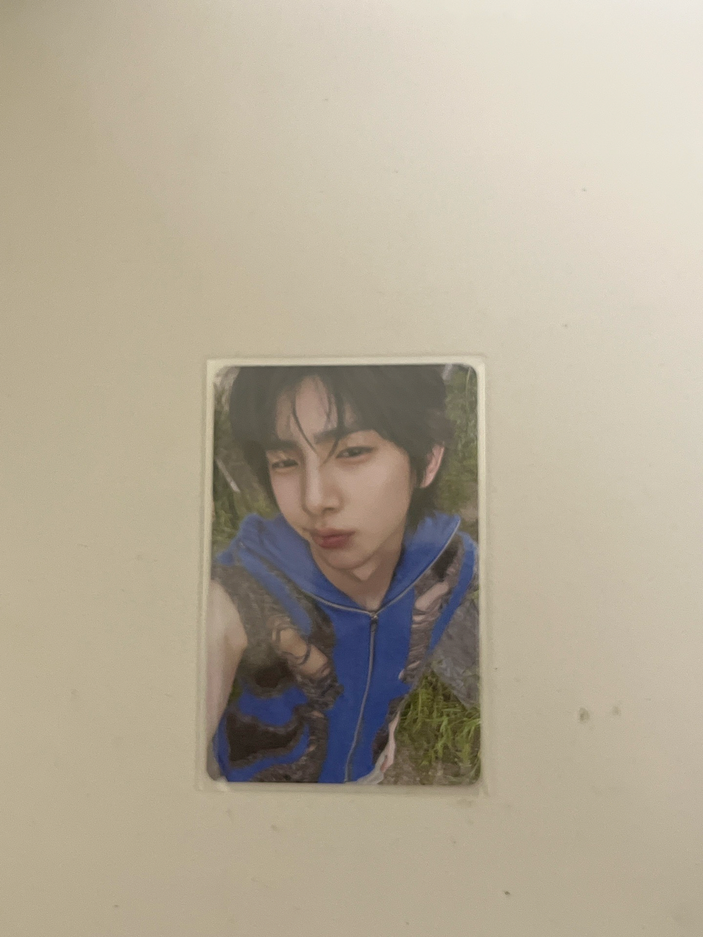 金主訓電子專A版全專（未掃）