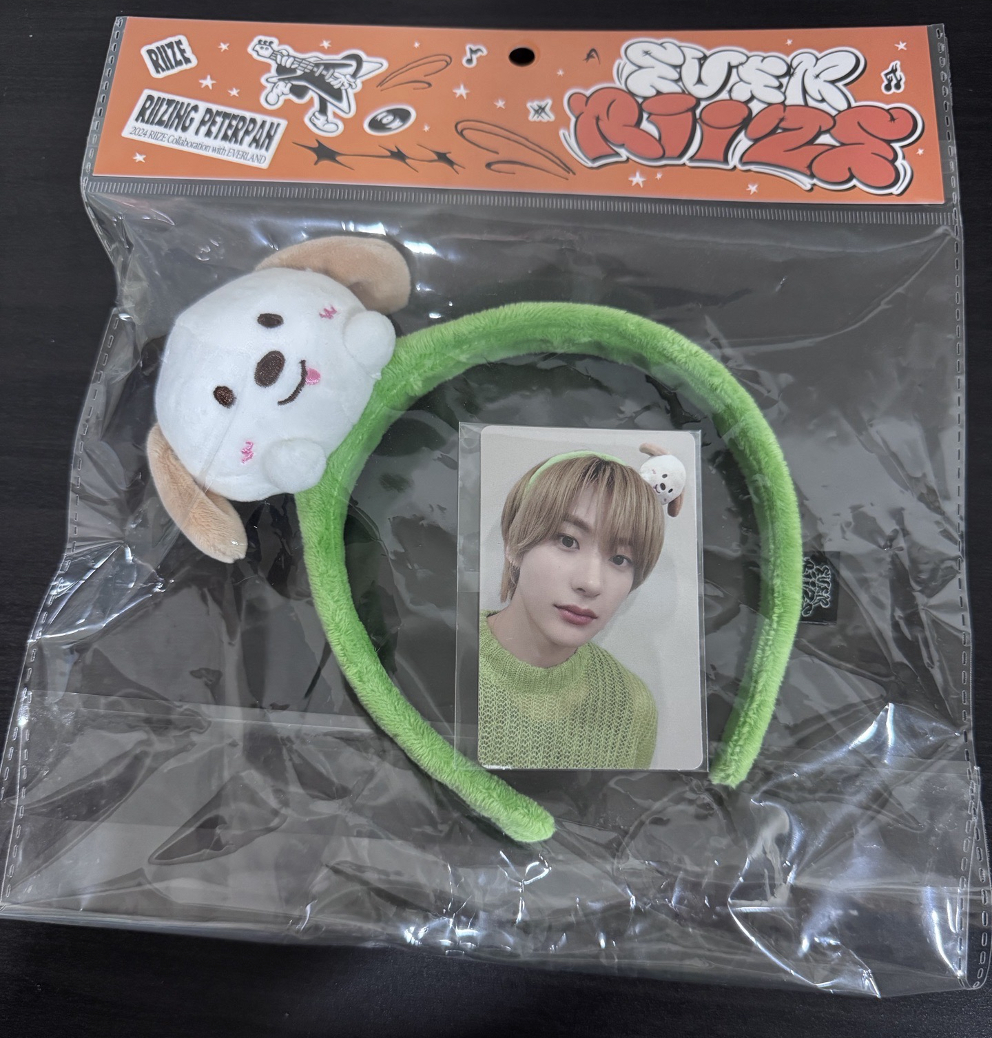 RIIZE 愛寶樂園 髮箍含卡 龍石/兔貓鴨/狗龍