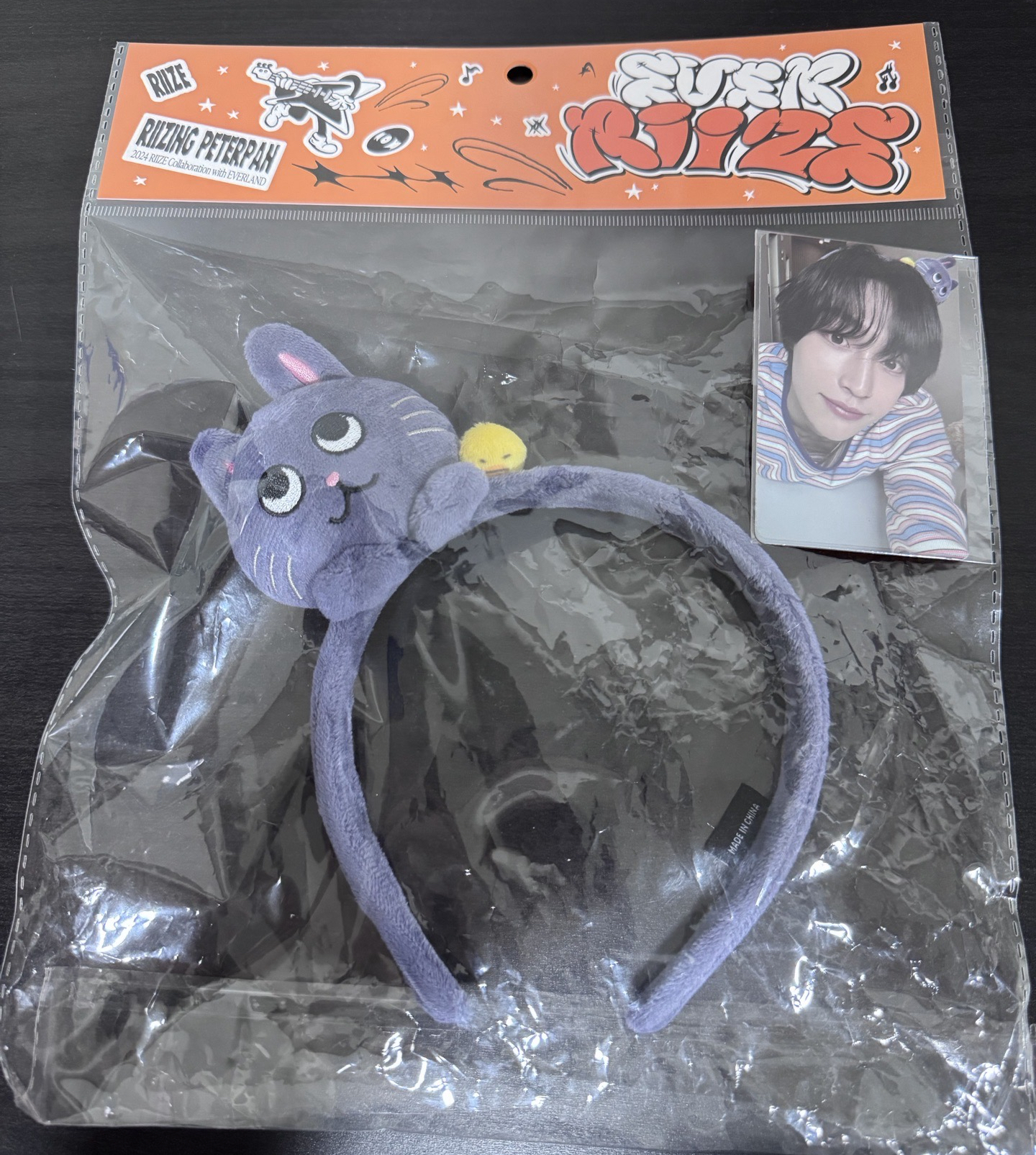 RIIZE 愛寶樂園 髮箍含卡 龍石/兔貓鴨/狗龍