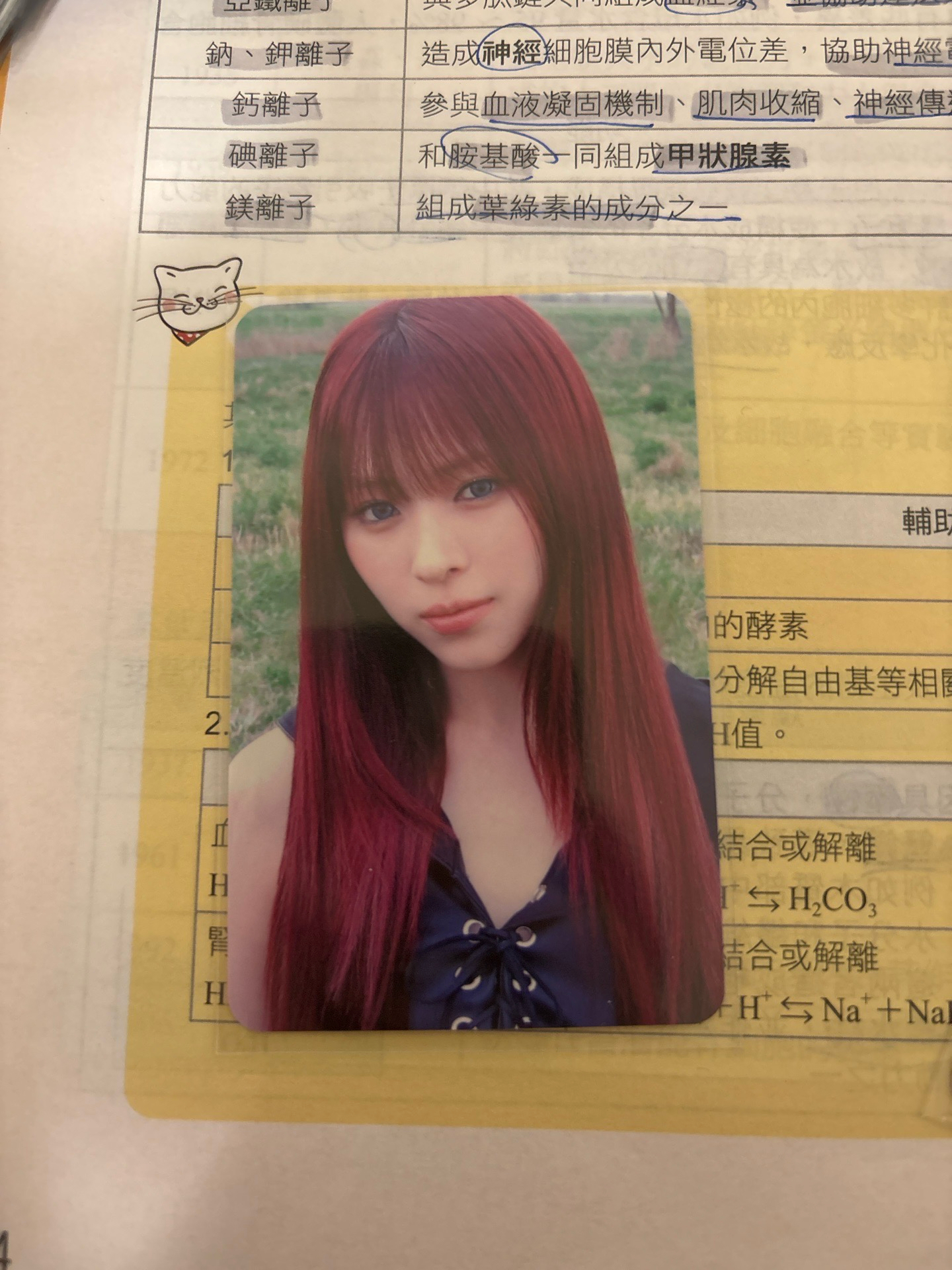 GWBG ms 預售 特典卡 花絮卡(留真