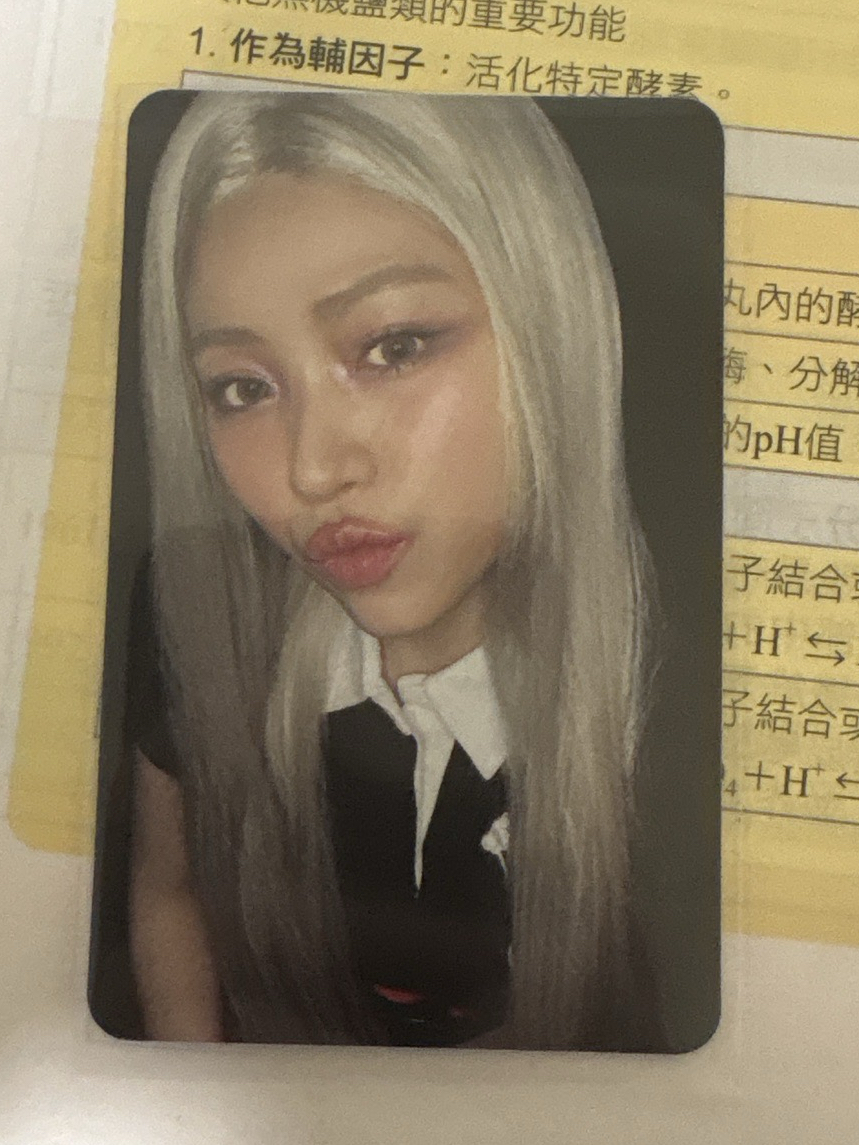 GWBG 專輯卡 BOX ver.