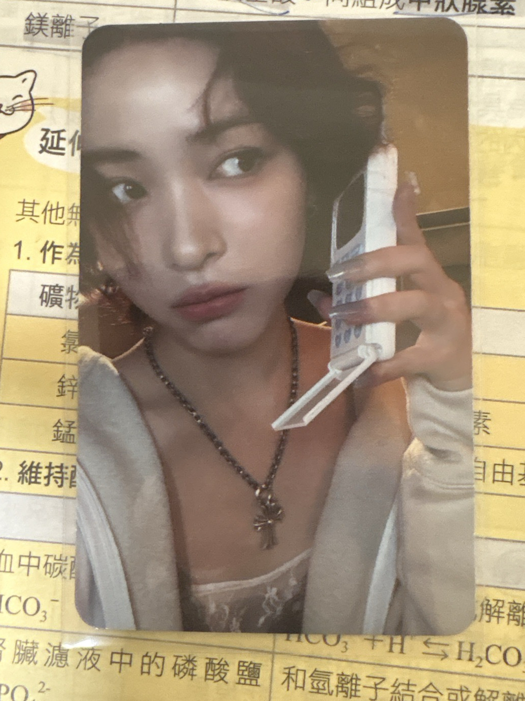 GWBG 專輯卡 PB ver.