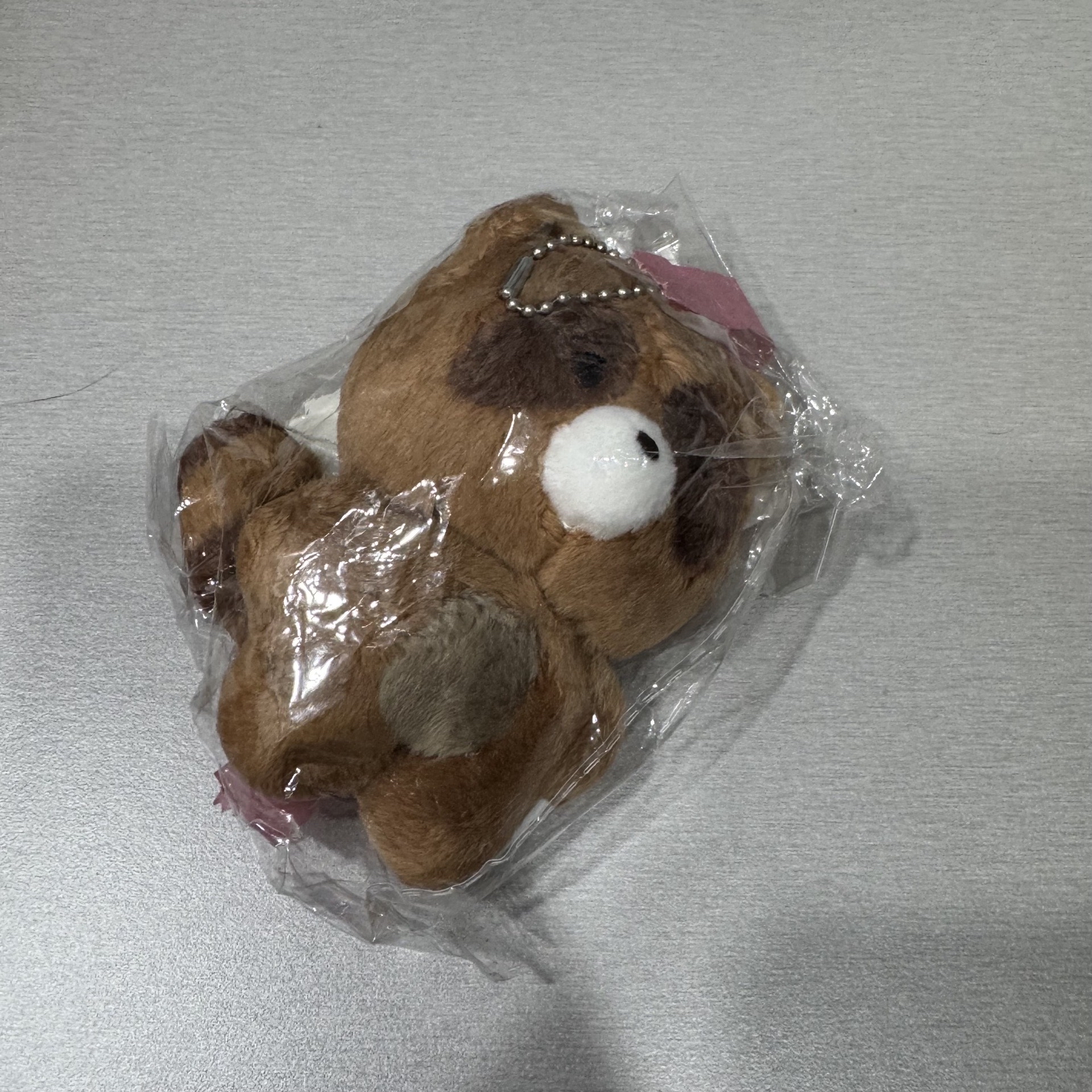 The boyz 善旴 浣熊 娃娃 玩偶 10cm娃