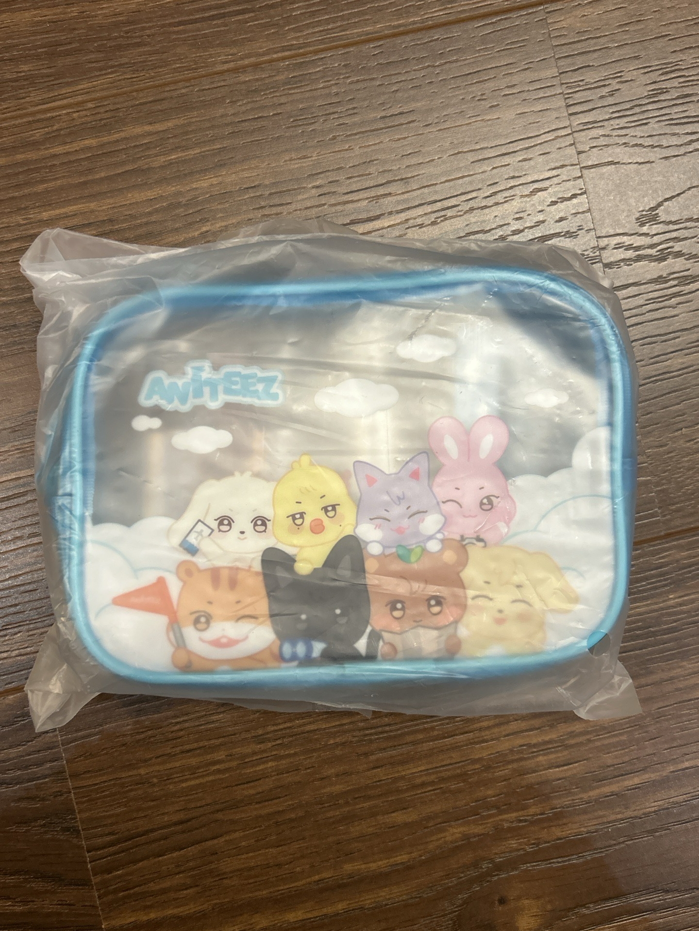 aniteez全新未拆旅行組 含卡