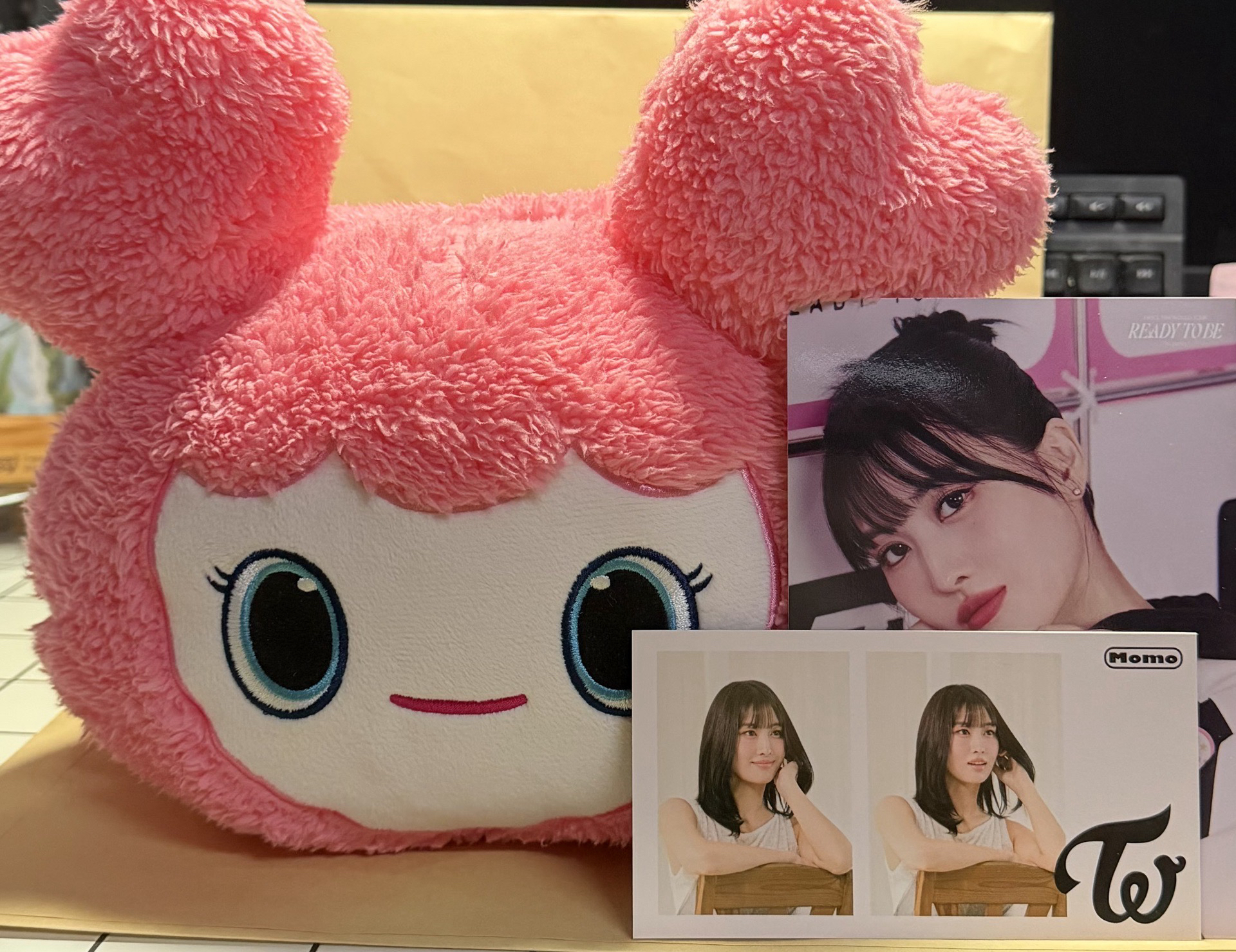 TWICE Momo GIGO 大趴娃