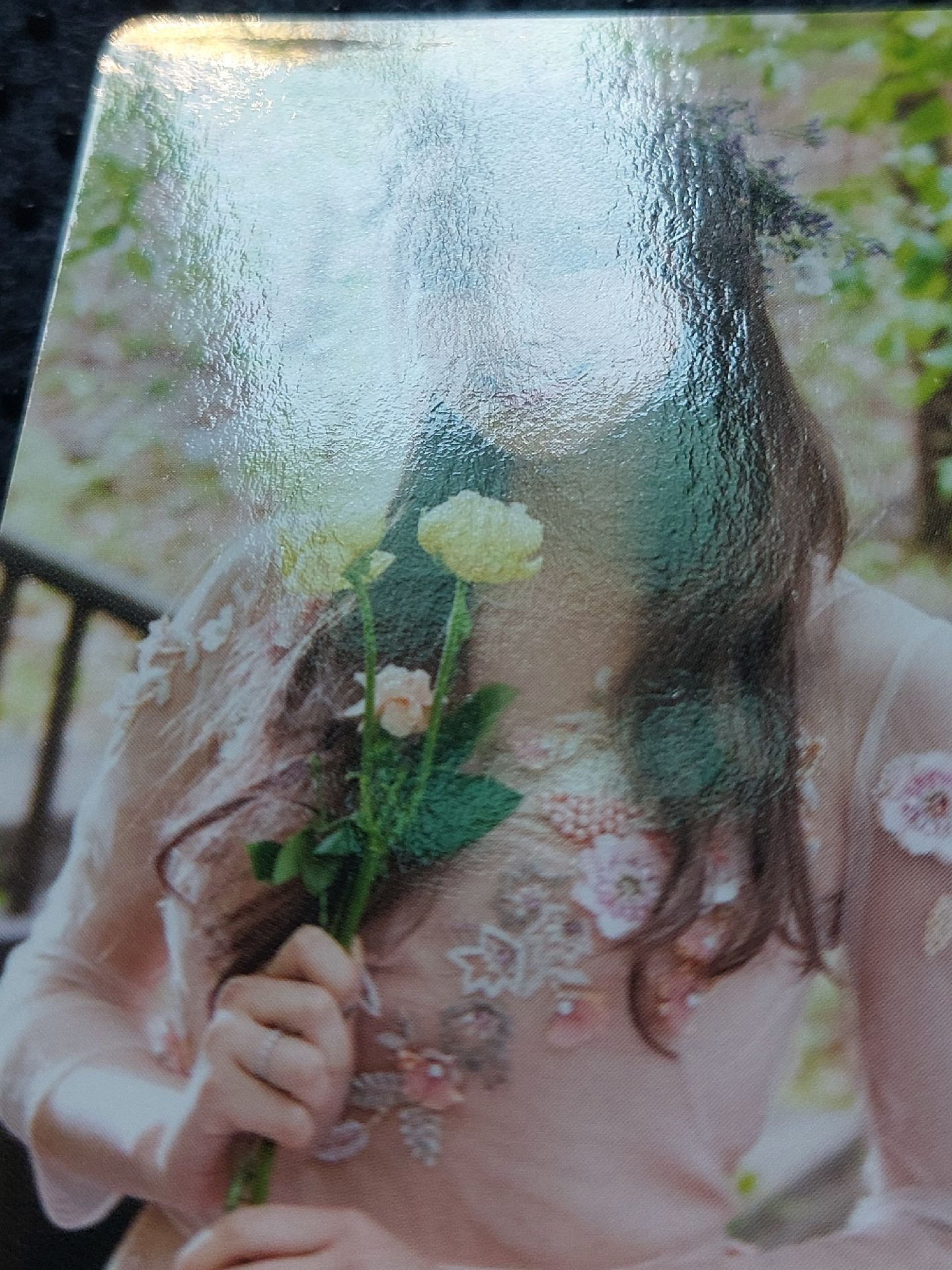 （損）一巡演唱會DVD