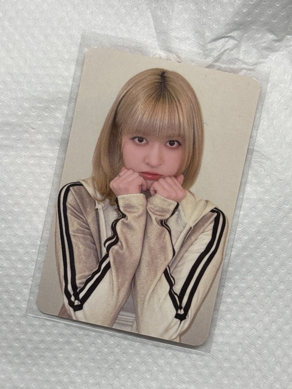 MS台北特別活動中簽卡 莉