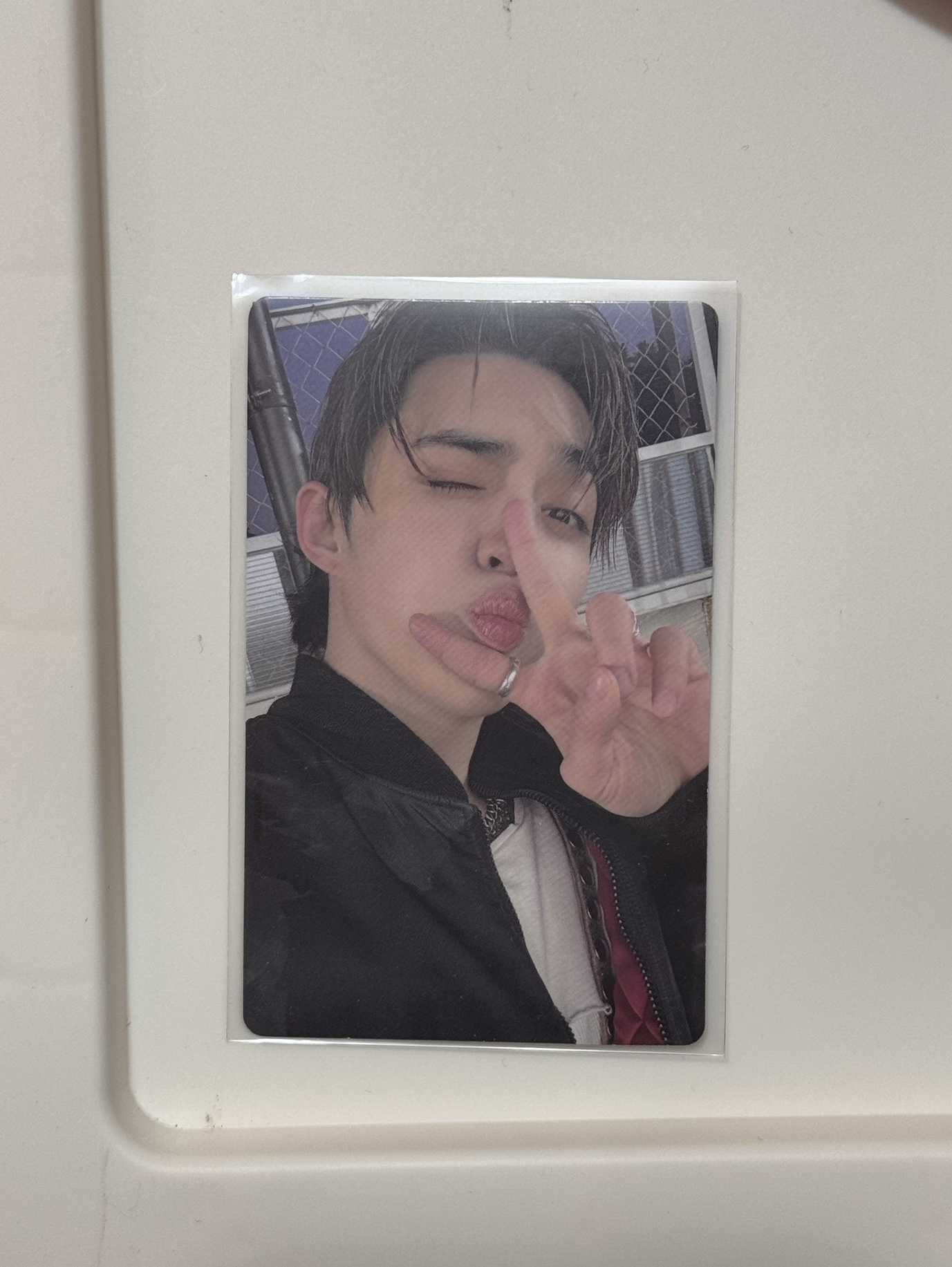 哲正五wvs特典卡