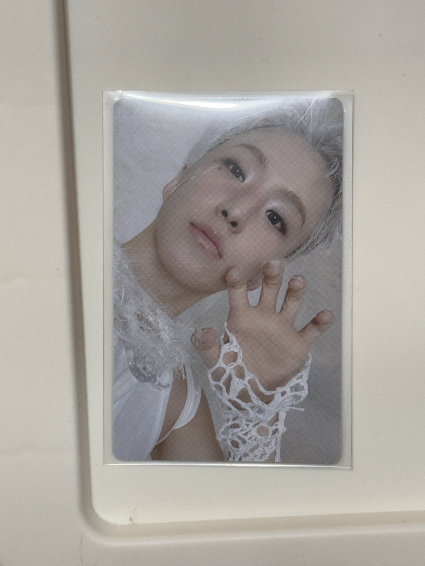 榮正五wvs特典卡