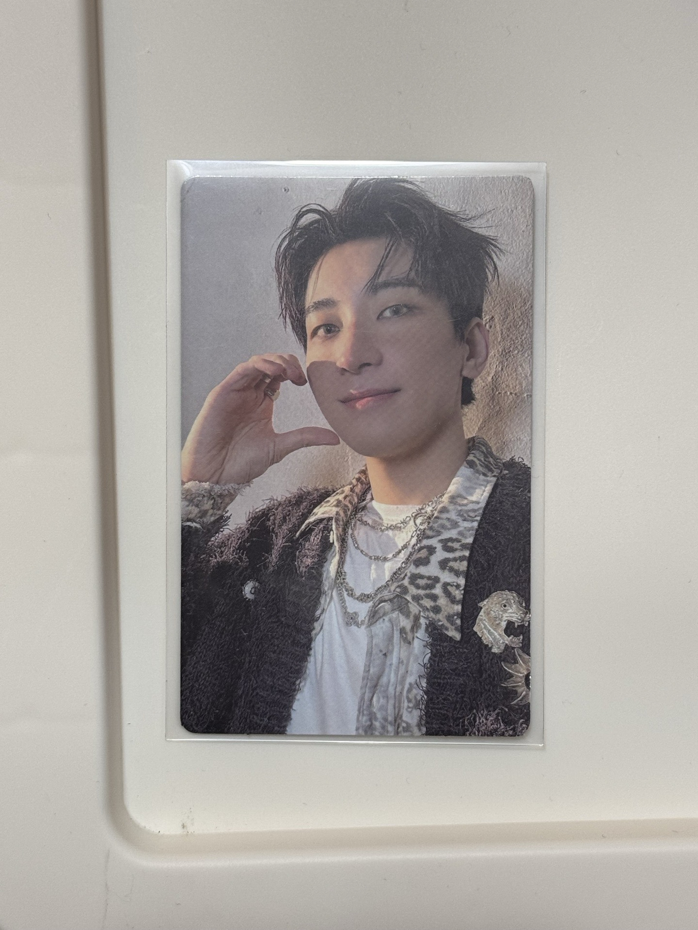 圓正五wvs特典卡