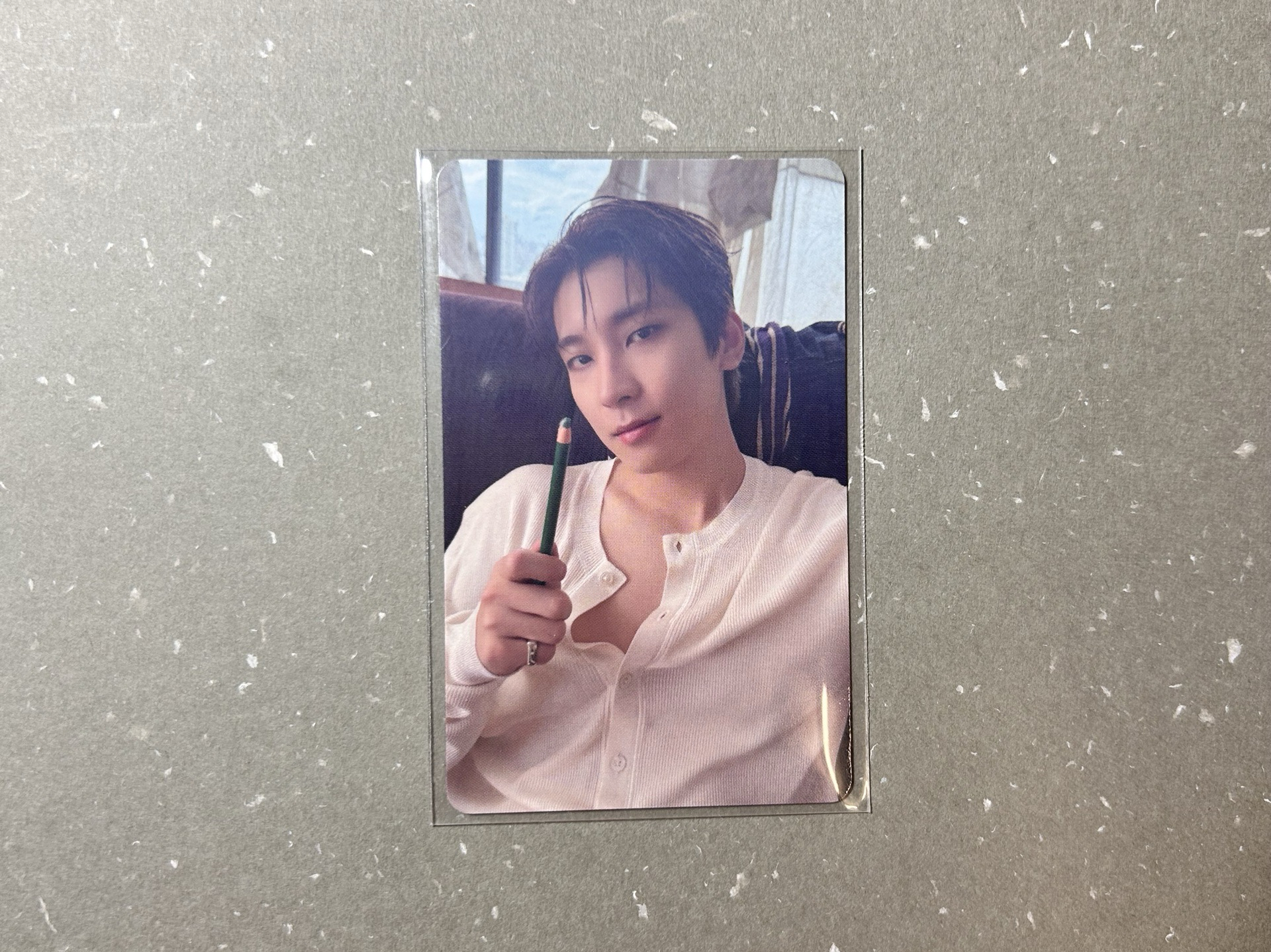 迷十二 愛知場限 圓