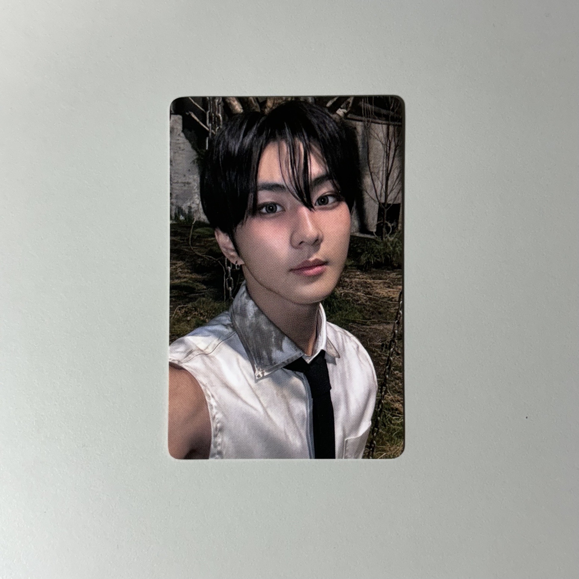 禎元 正規二青島簽售