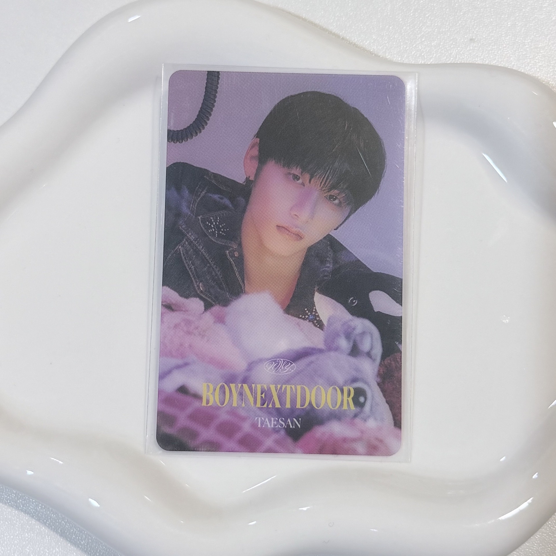 WHY.. 日咖 pb 特典卡 透卡 4 泰山 TAESAN