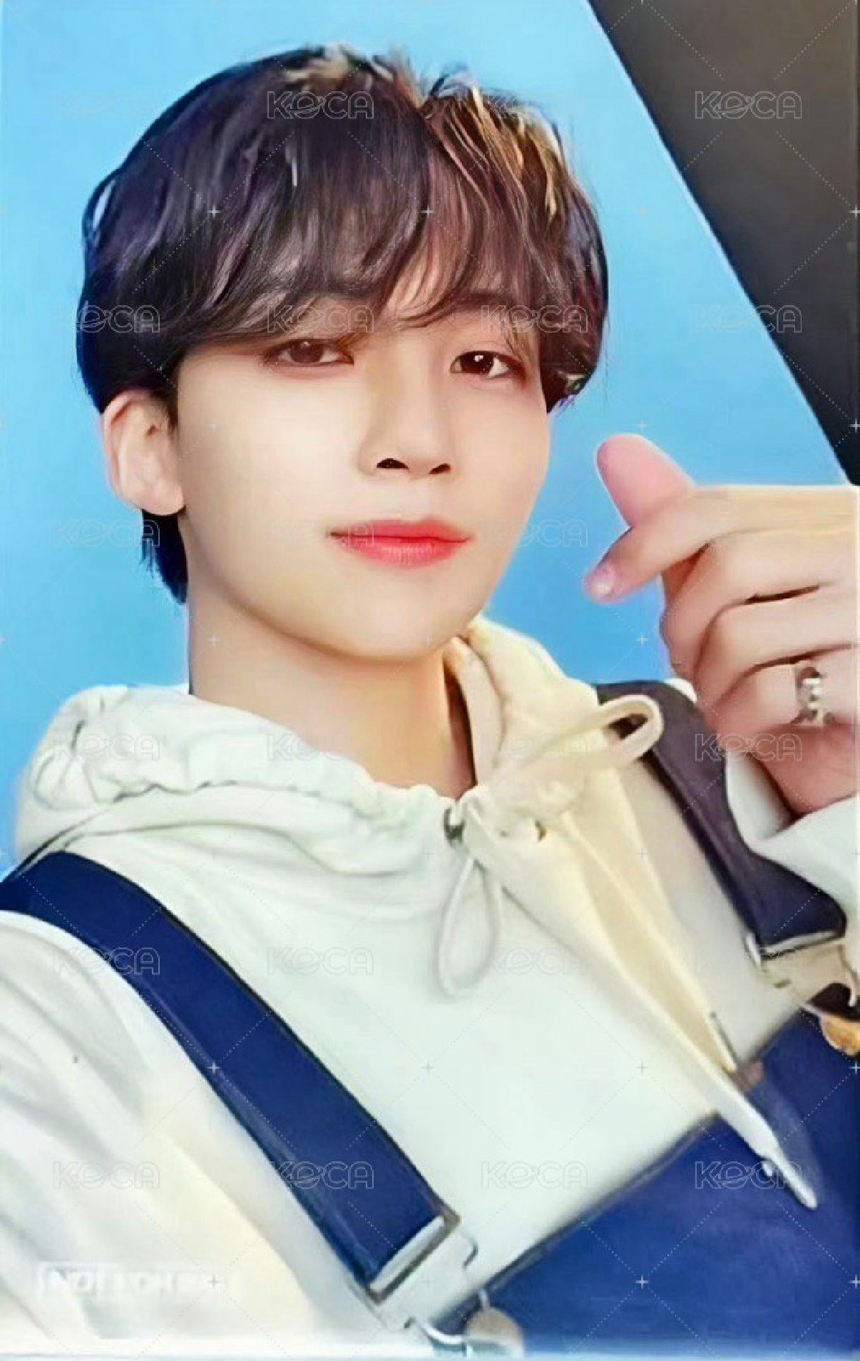 💙DREAM 環球 特典卡 淨漢Jeonghan