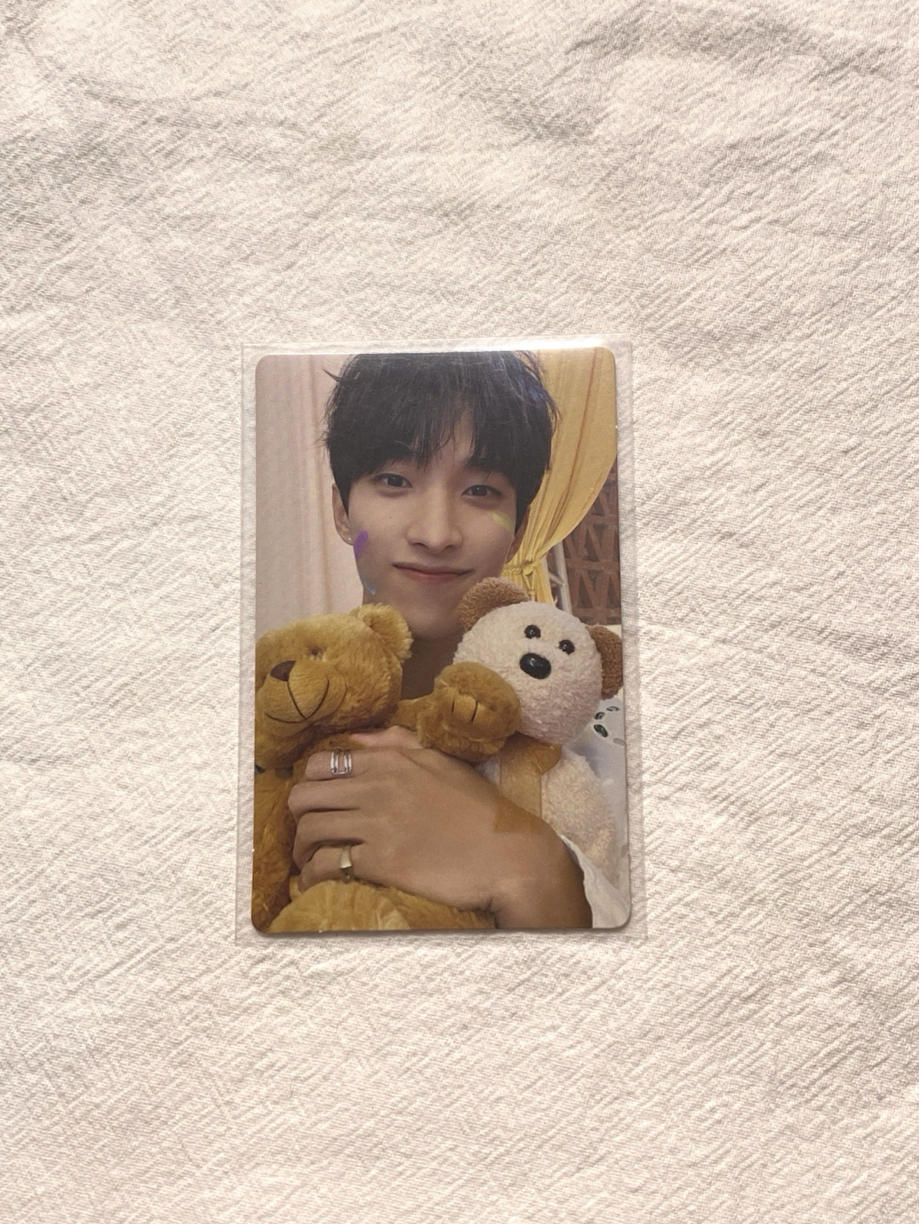 🎀正規四 碩專卡 抱熊碩