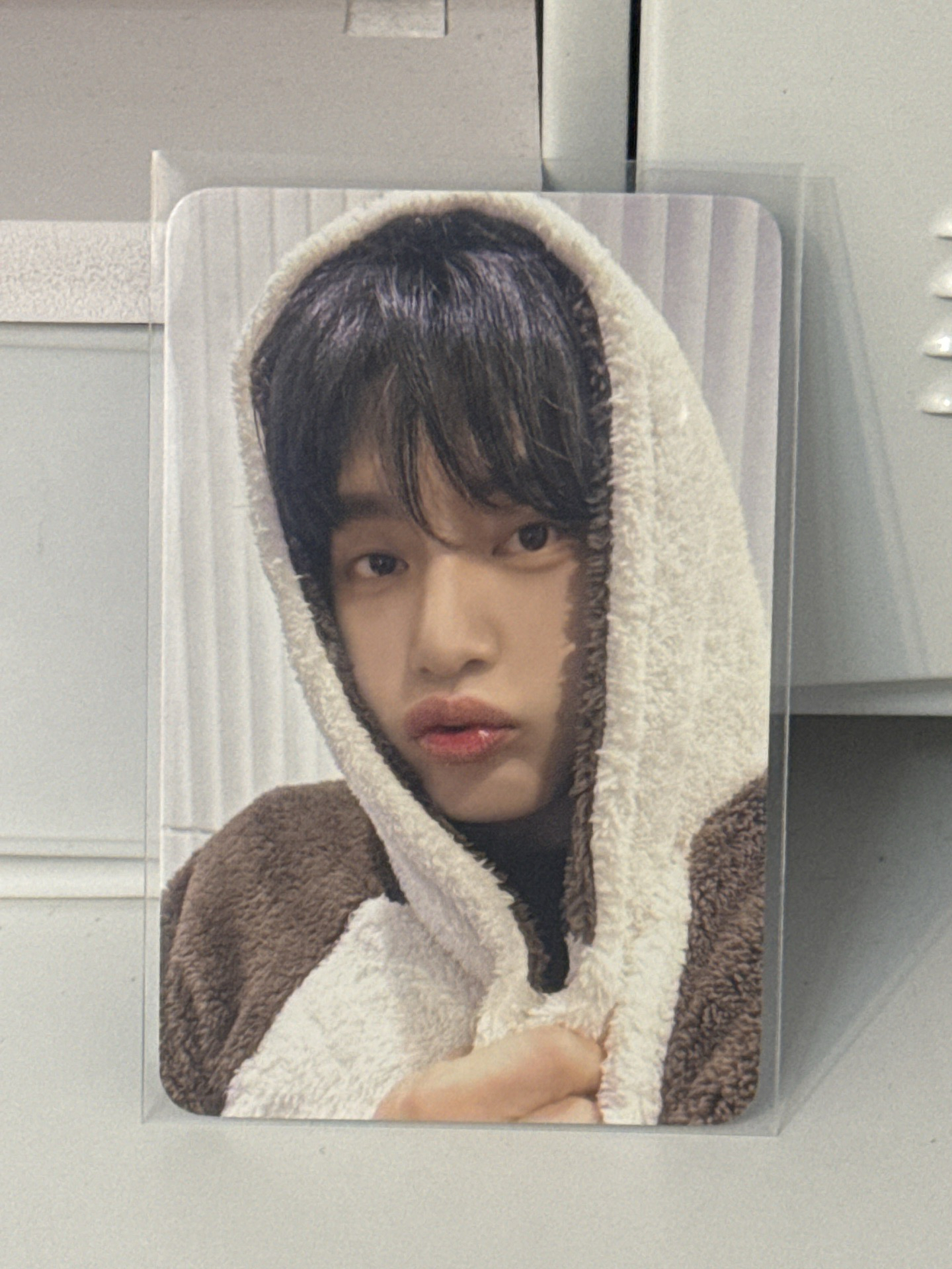 迷五 ms 1.0 簽售卡 動物睡衣