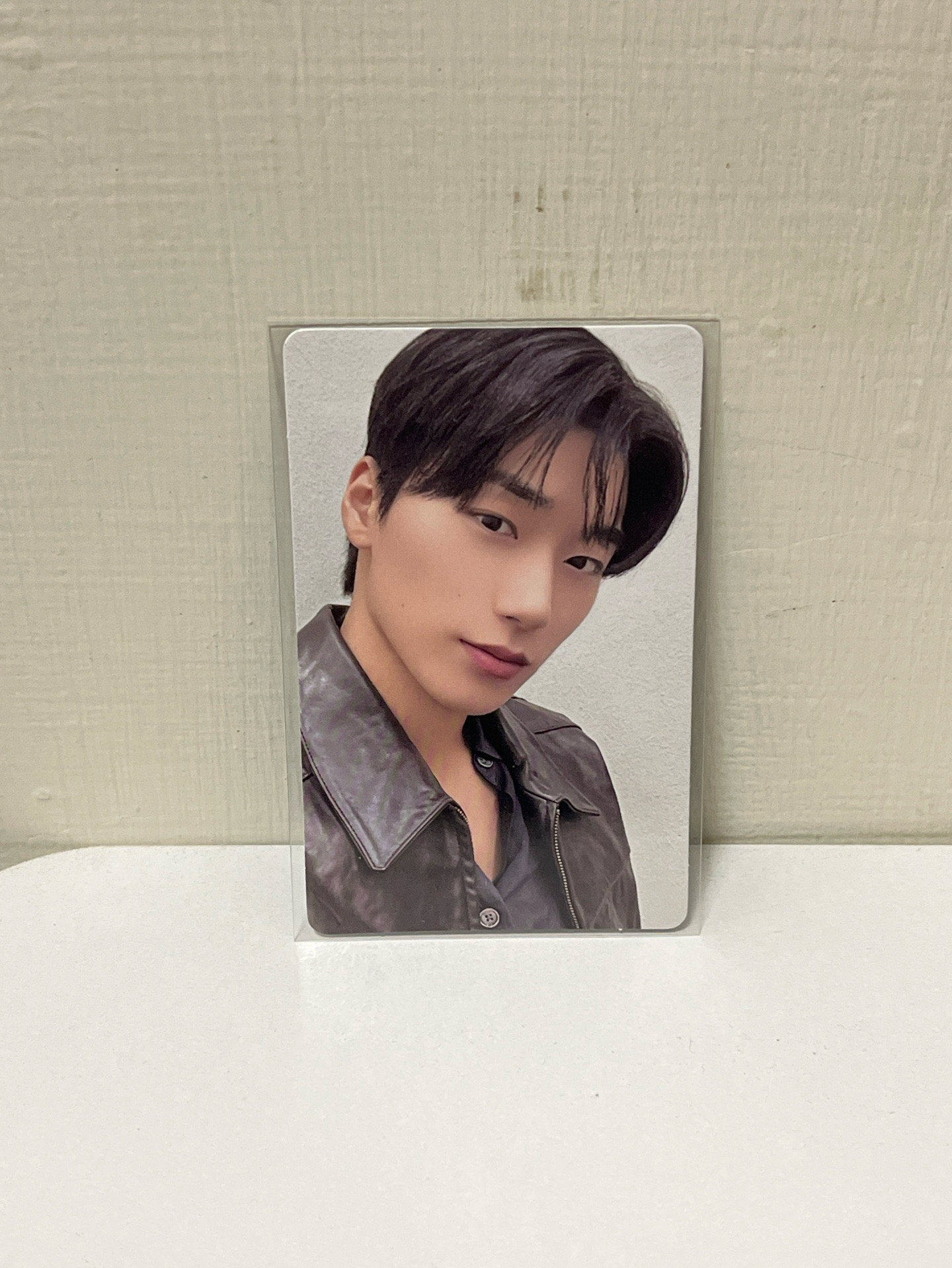 🤍崔傘 8ROOM 隨機卡 ver. B 