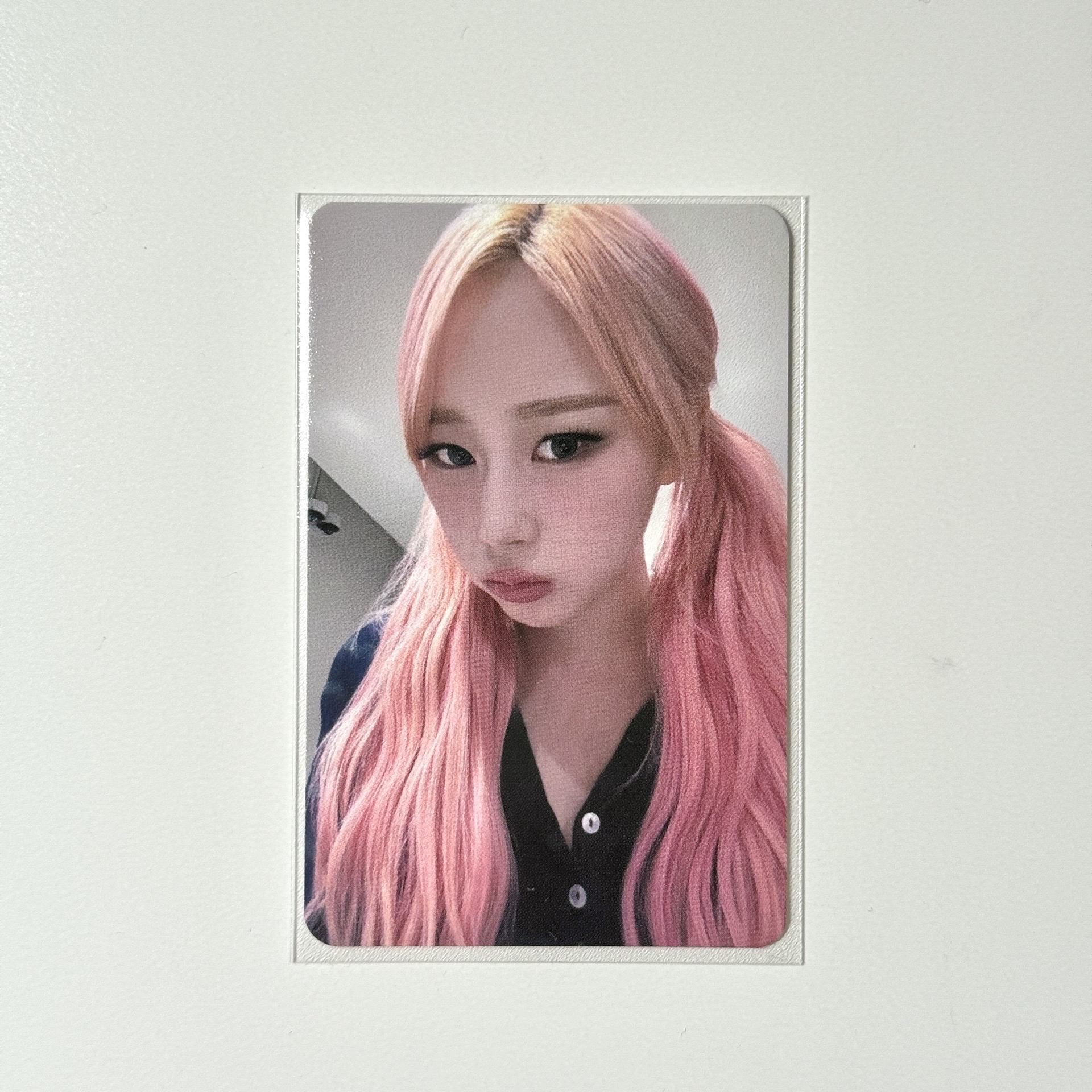 Whiplash ms簽售吉