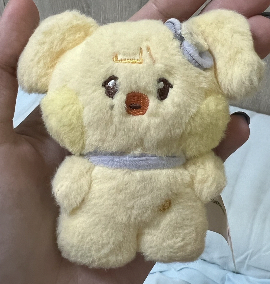 ive line friends吊飾娃怜(標價含綁)