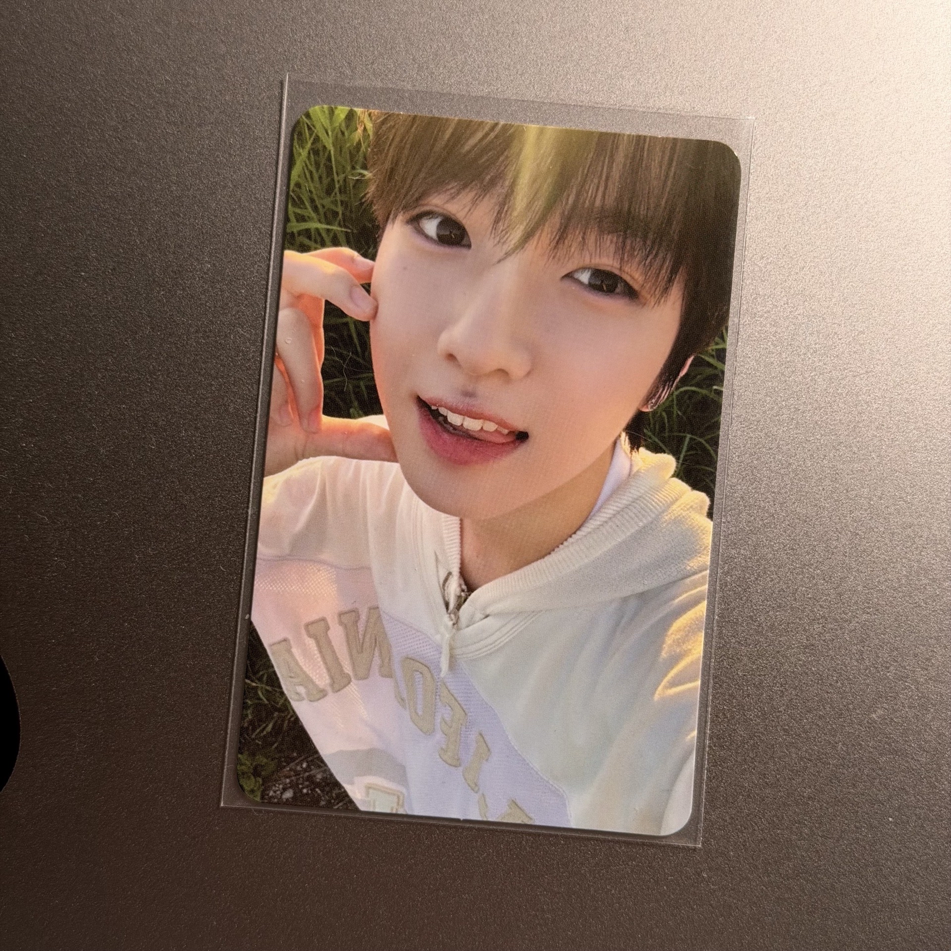 🪽NCT WISH Steady快閃 隨機卡 Sakuya