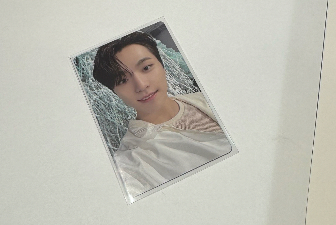 淚鑽水獺🦦李燦  dino