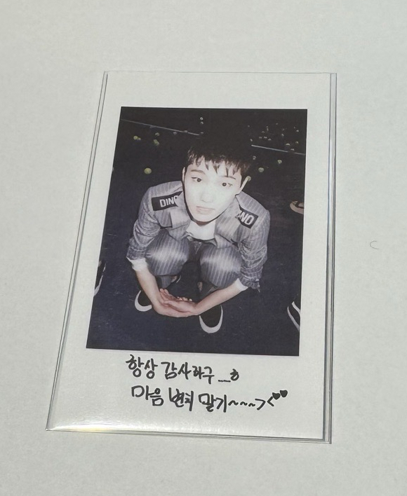 幼年水獺紀錄拍立得🦦李燦 Dino 