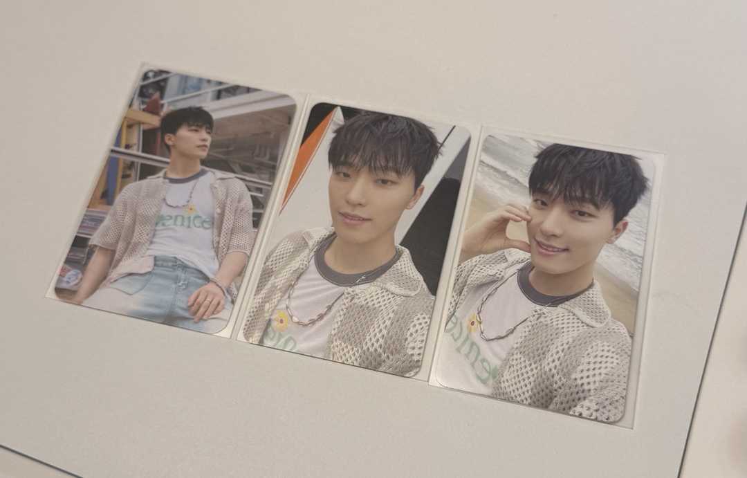 海灘玩耍的水獺🦦李燦 Dino