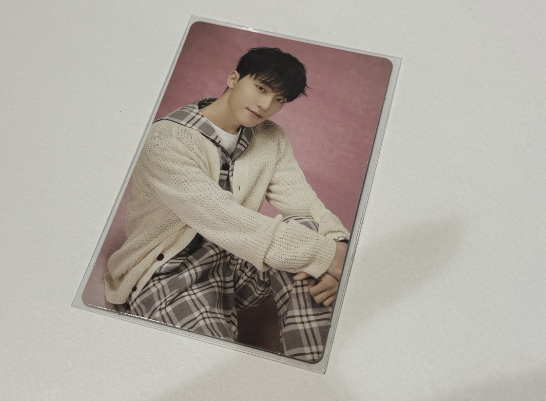 格紋李燦🦦李燦 Dino