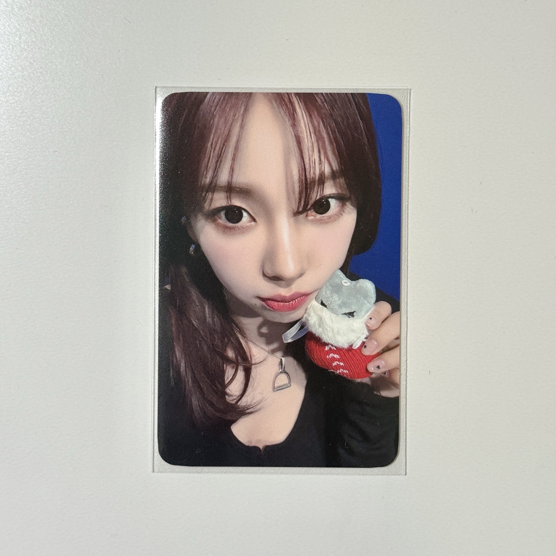 Whiplash dmm簽售柚