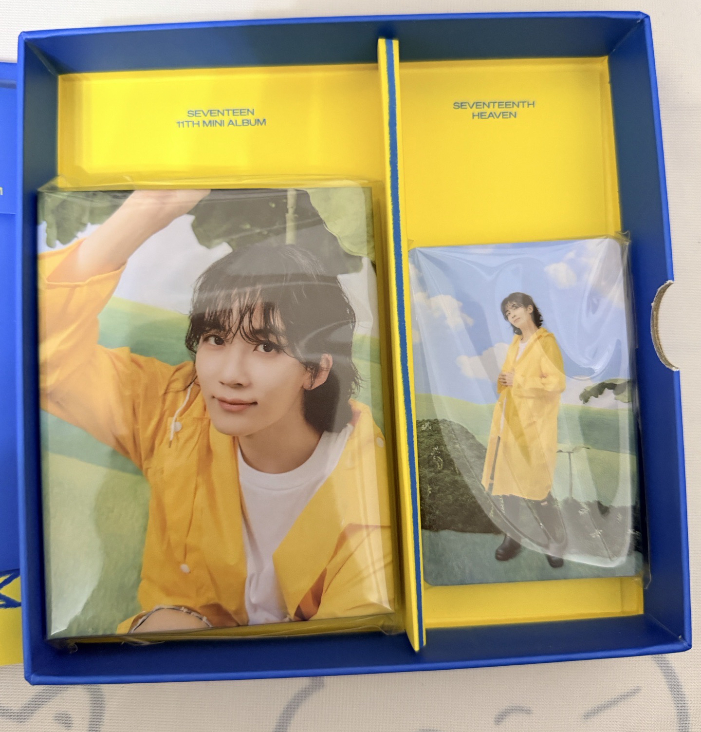 mini11克拉盤-漢（無隨機卡）