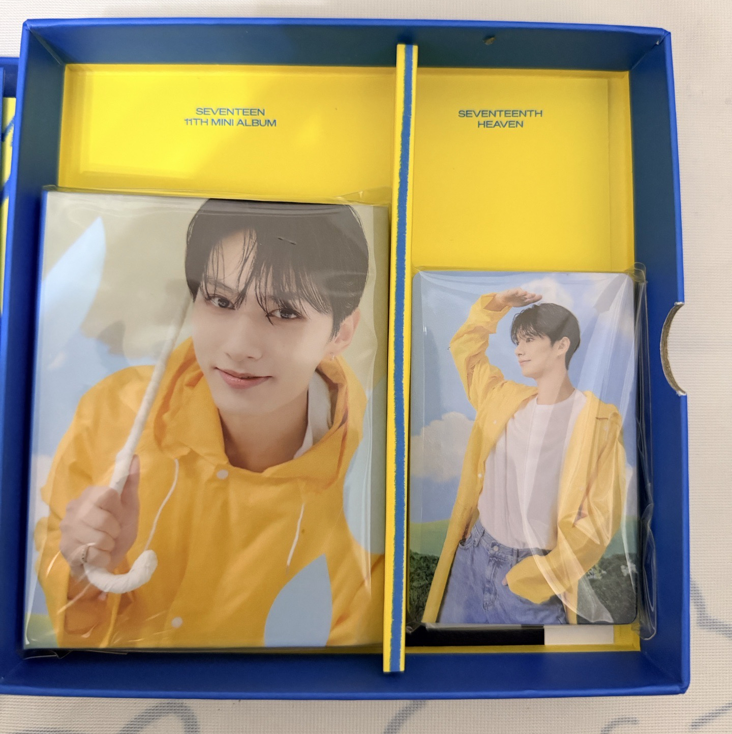 mini11克拉盤-俊（無隨機卡）