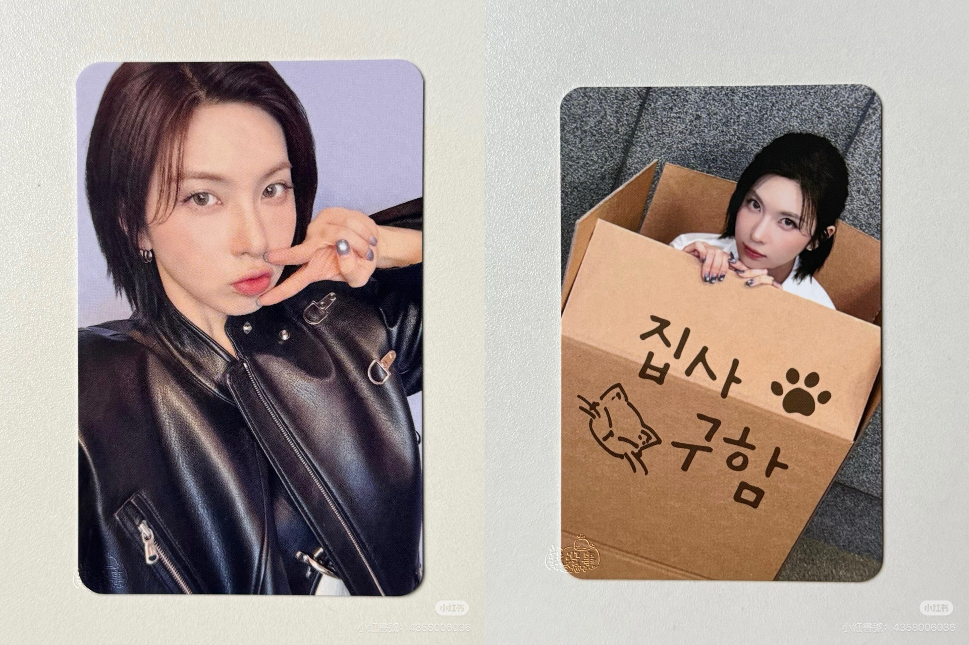 ms嘟嘴+鏟屎官裴