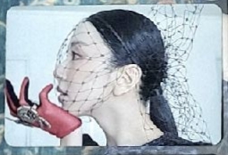 電子專固配 側臉Masterpiece彩