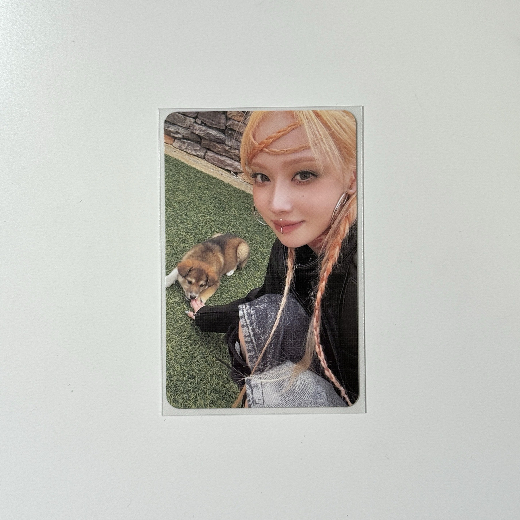 🩵正規一 zine專卡冬